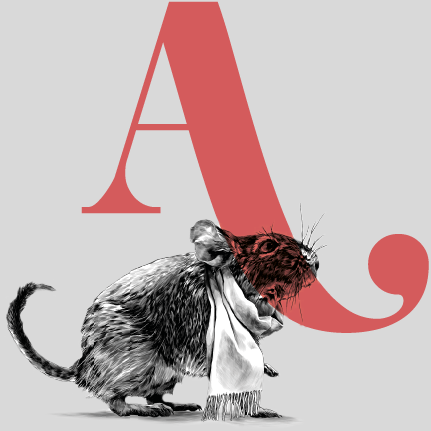 A ROUGE + SOURIS fond gris